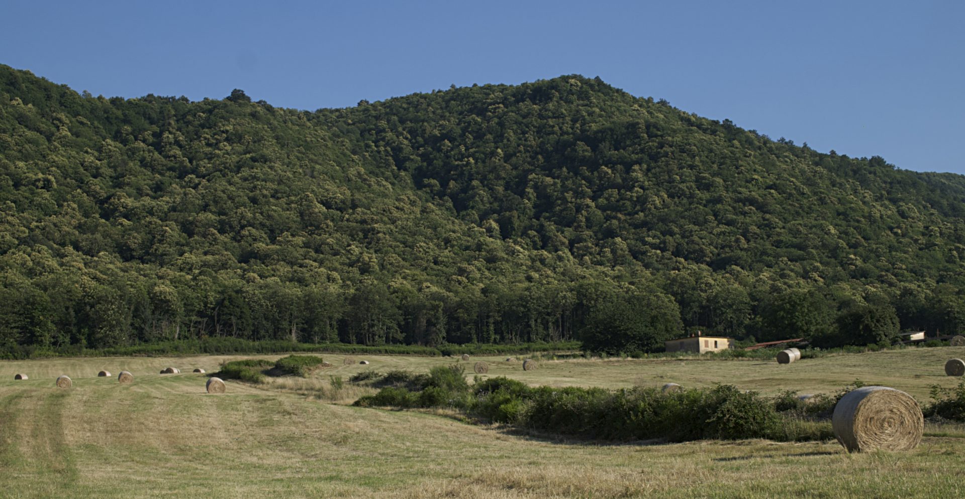 Pratoni del Vivaro | Rocca di Papa | Visit Castelli Romani - La guida
